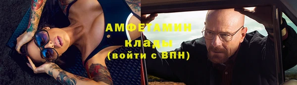 шишки Алзамай