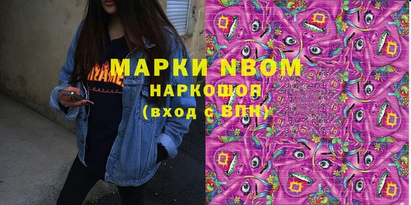 шишки Алзамай
