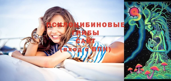 spice Алексеевка