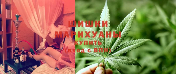 шишки Алзамай