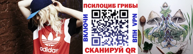 Псилоцибиновые грибы прущие грибы  Покров 